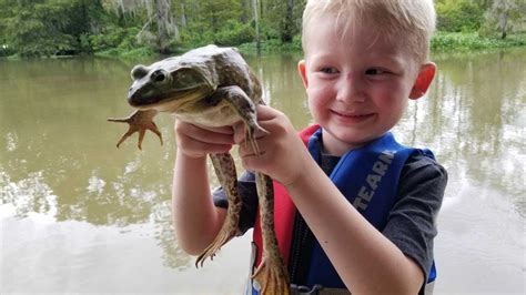 Frog Catching .